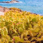 Exclusive Oceanfront With Pool & Golf Views Hébergement de vacances San Miguel de Abona