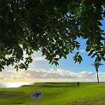 Hébergement de vacances Exclusive Oceanfront With Pool & Golf Views